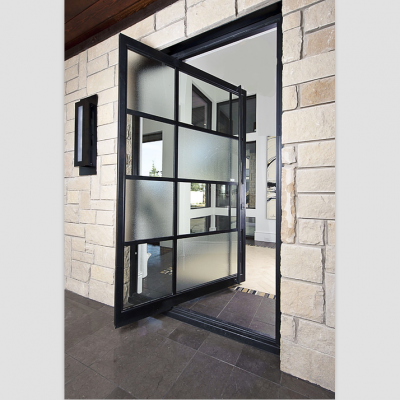 Steel Pivot door #SD-025